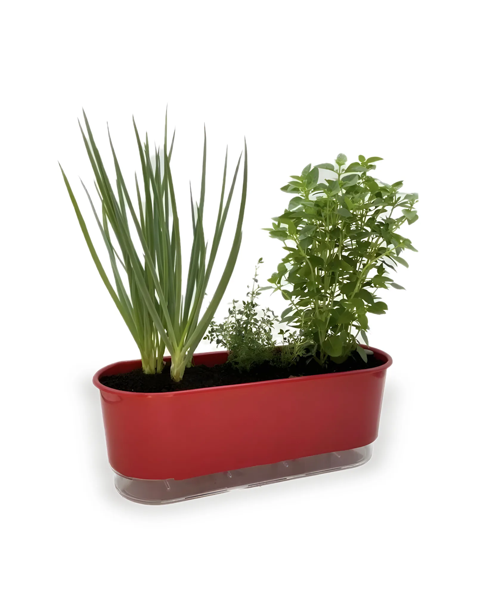 HORTA VARANDA