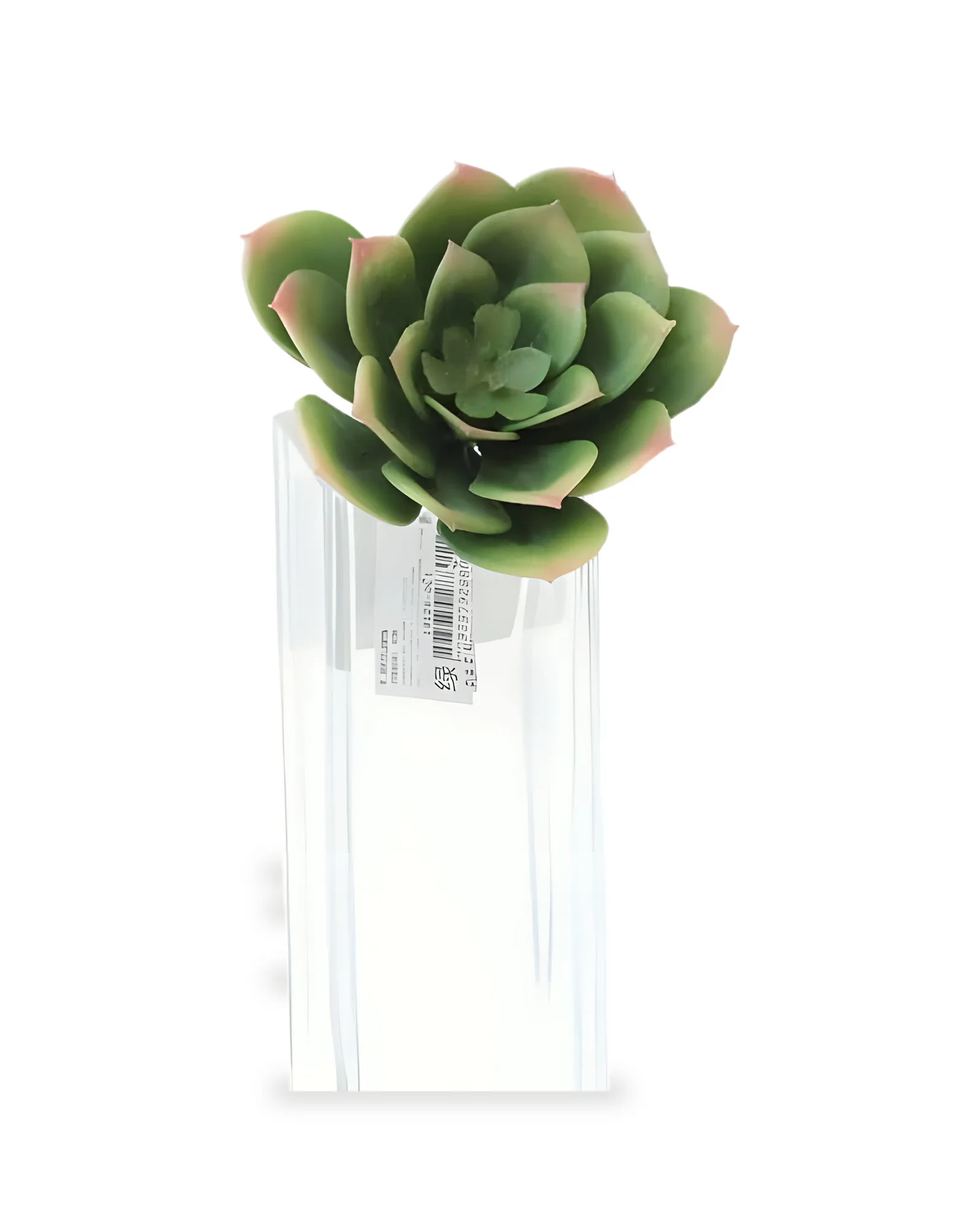 Suculenta Artificial (9cm)