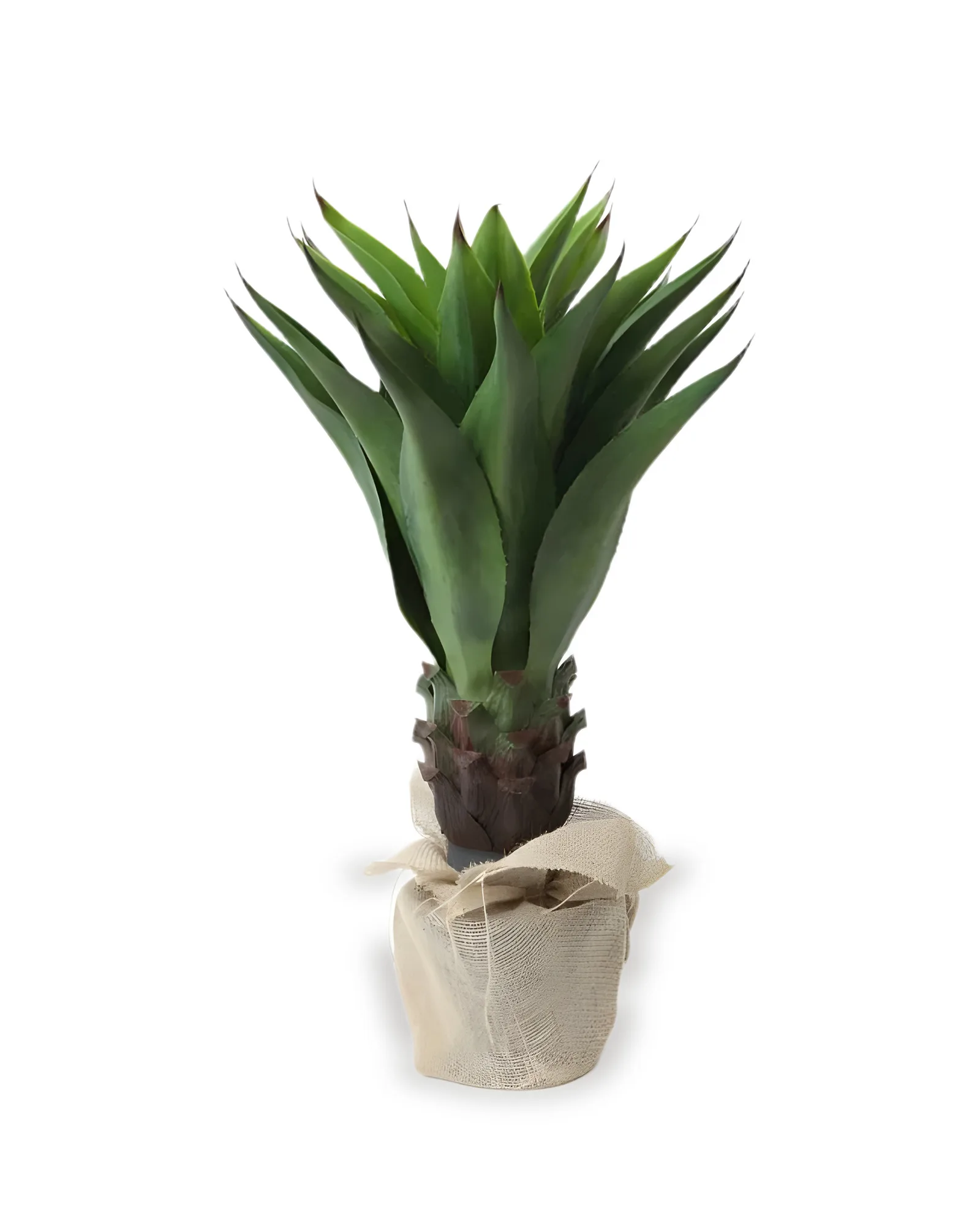 Agave Artificial (90cm)