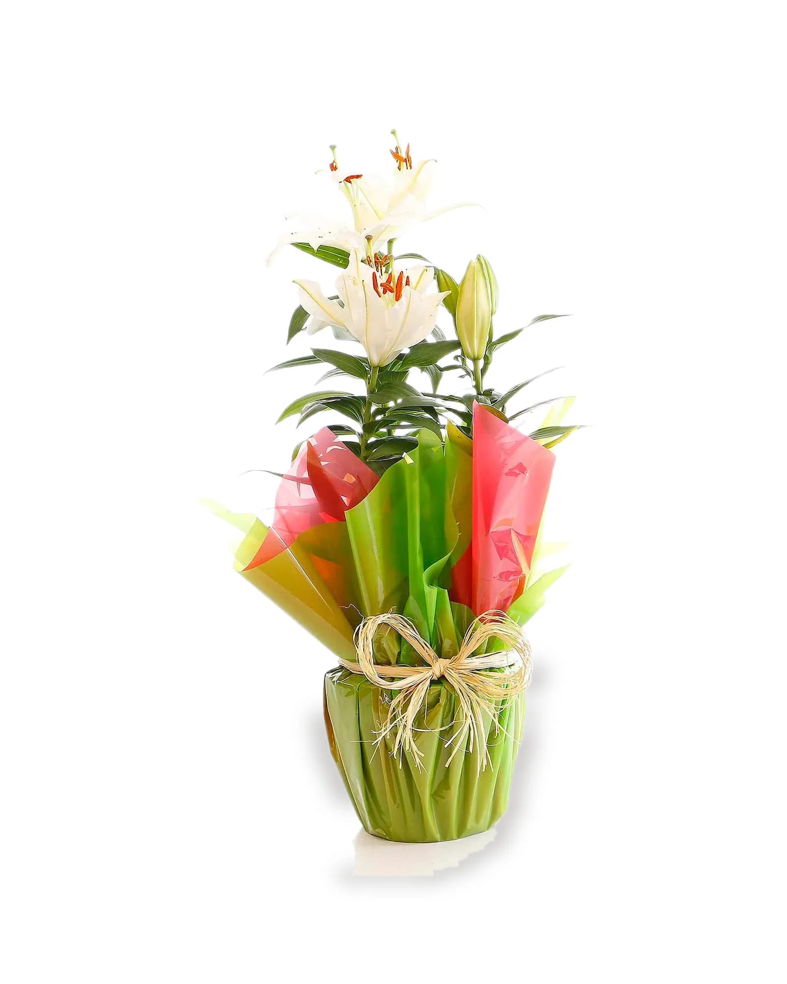 Arranjo Natural Lirio Paris 26