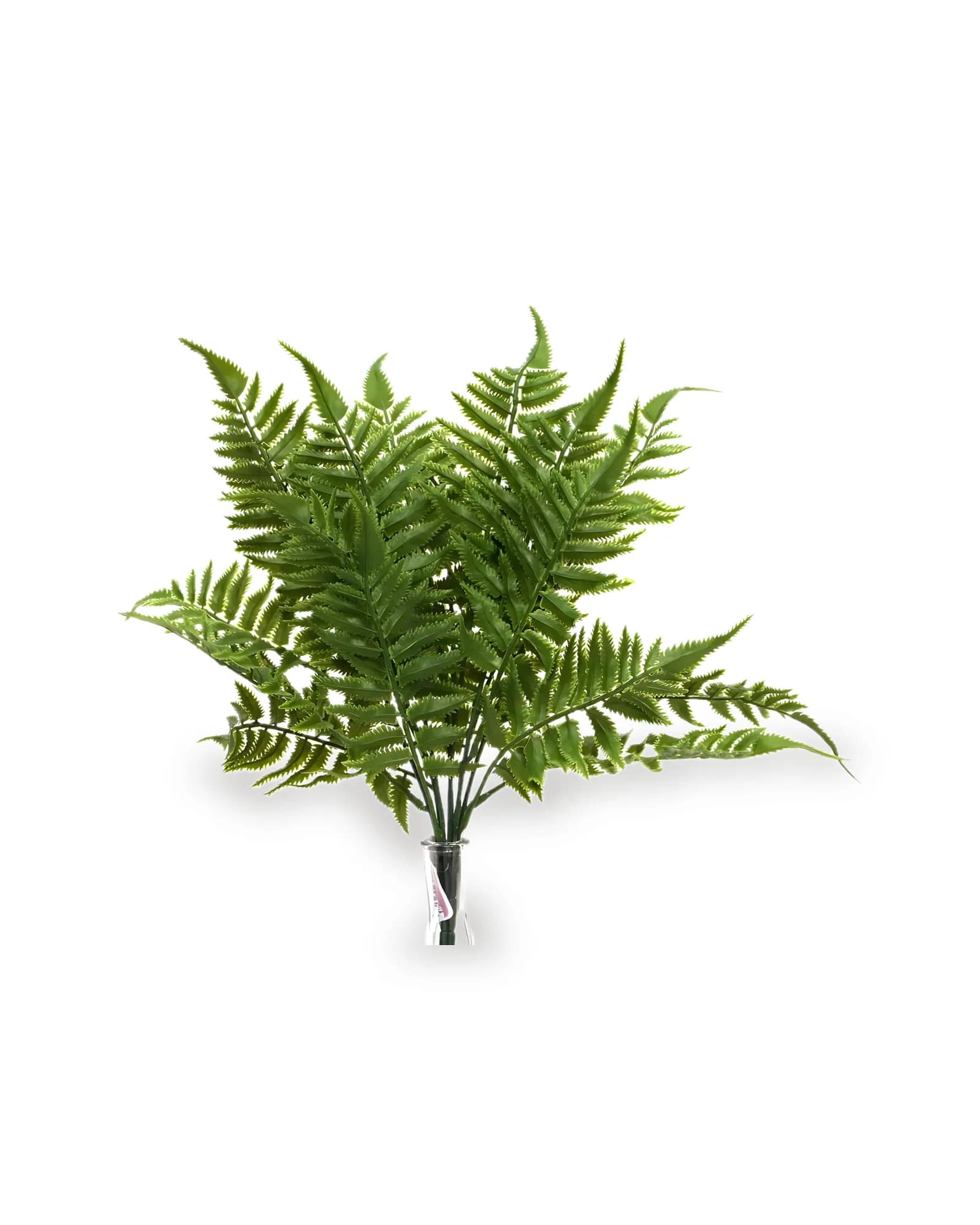 Galho Samambaia (46cm)