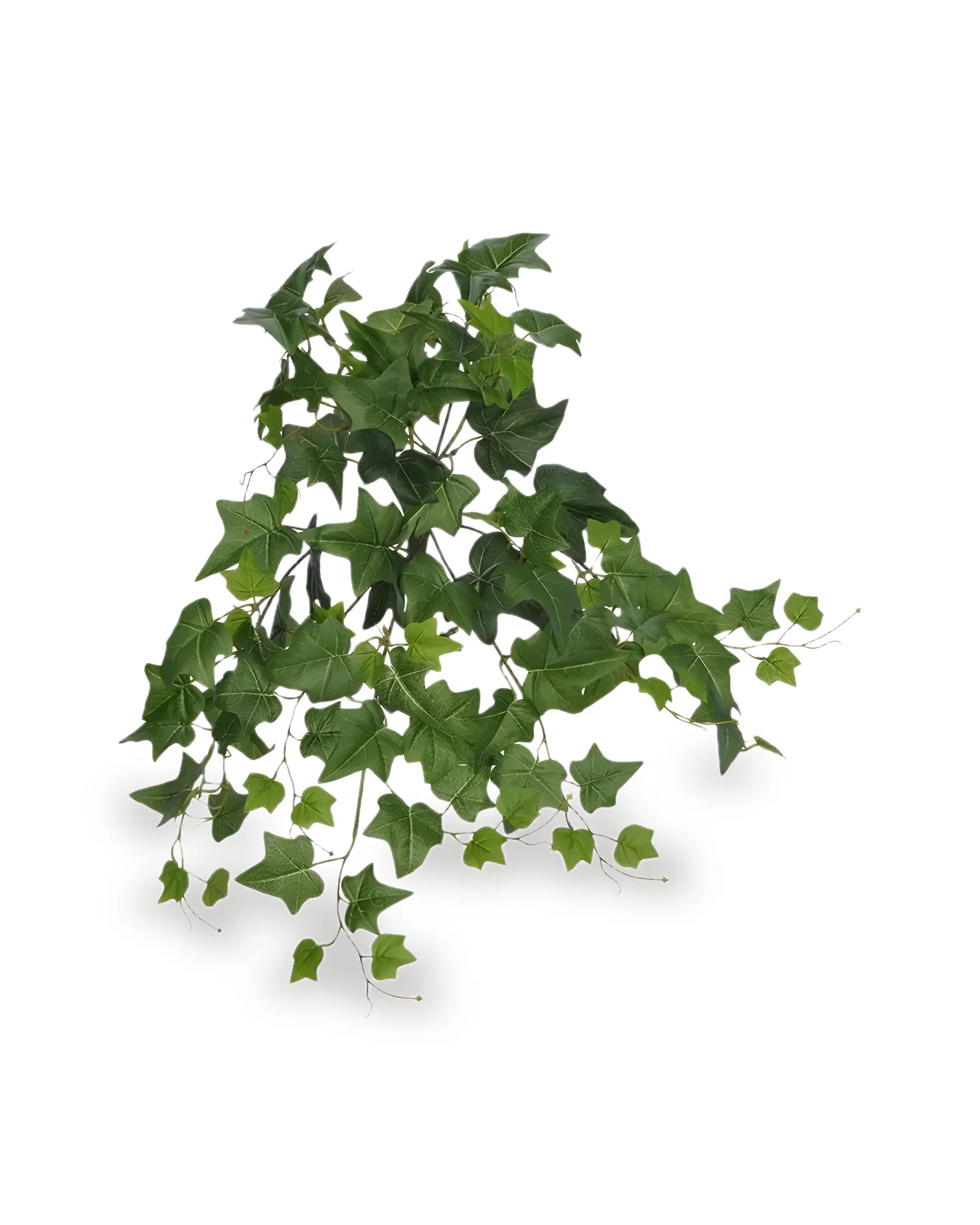 Hera Real Toque Verde (50 cm)
