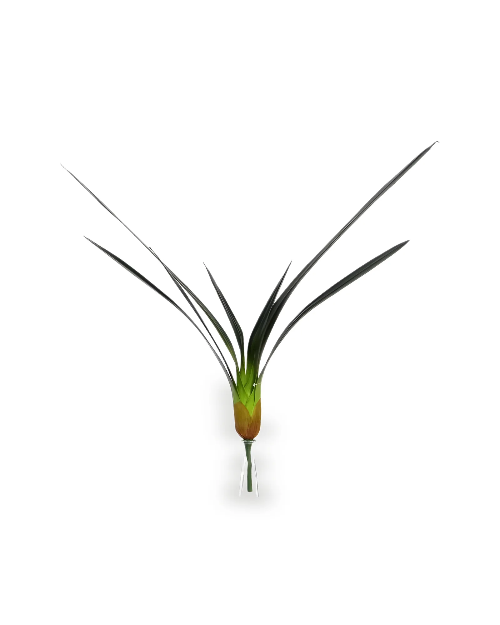 Folha Orquídea (80cm)