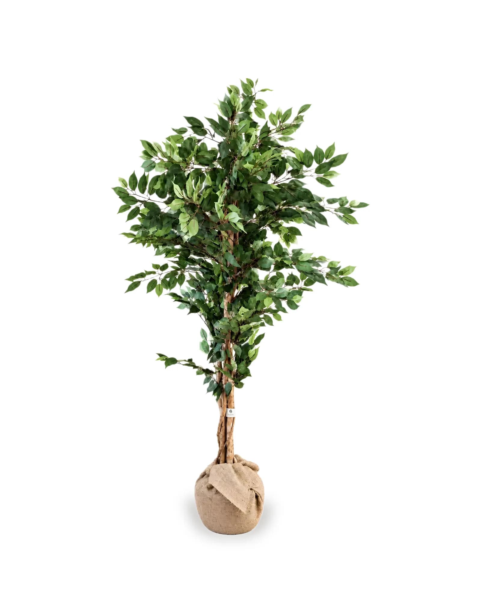 FICUS VERDE ARTIFICIAL (2,10M)