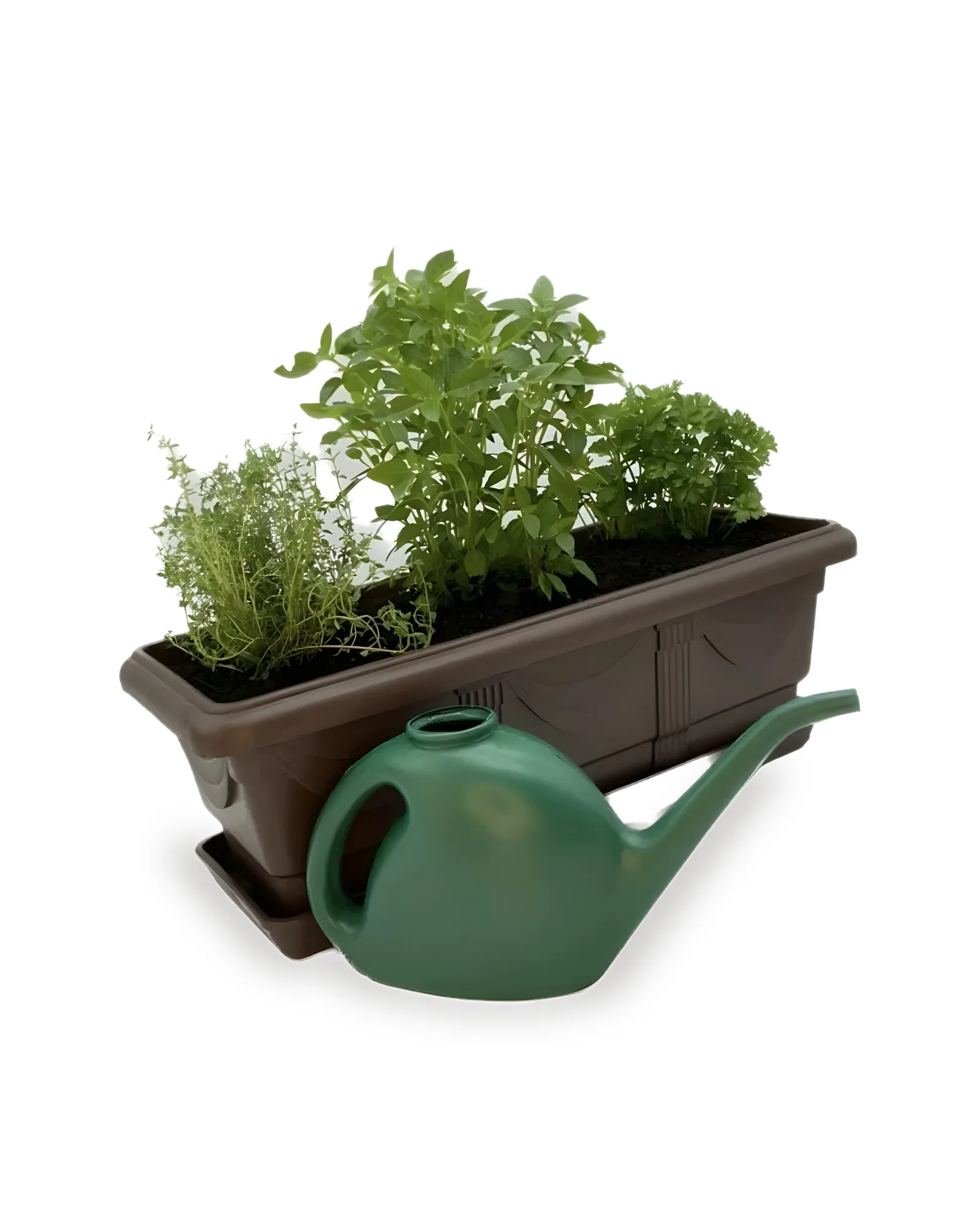 HORTA VERDE