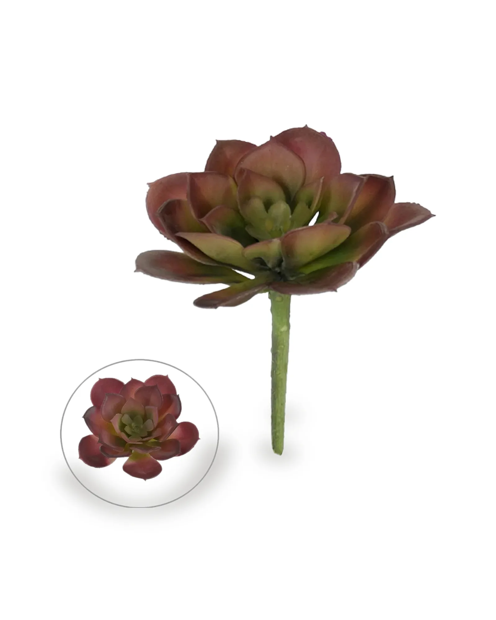 SUCULENTA VM 10 CM ARTIFICIAL