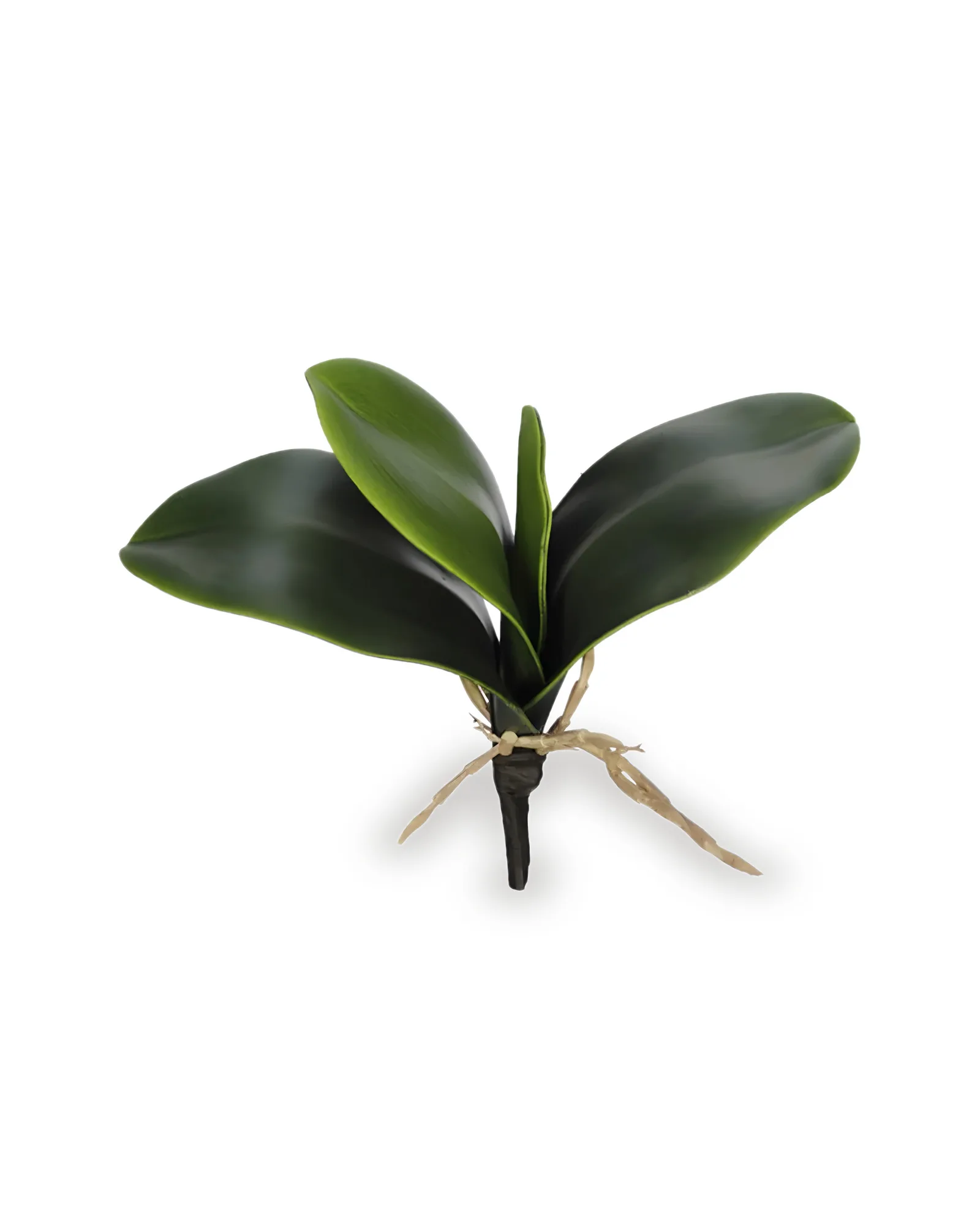 Folha de orquídea artificial (23cm)