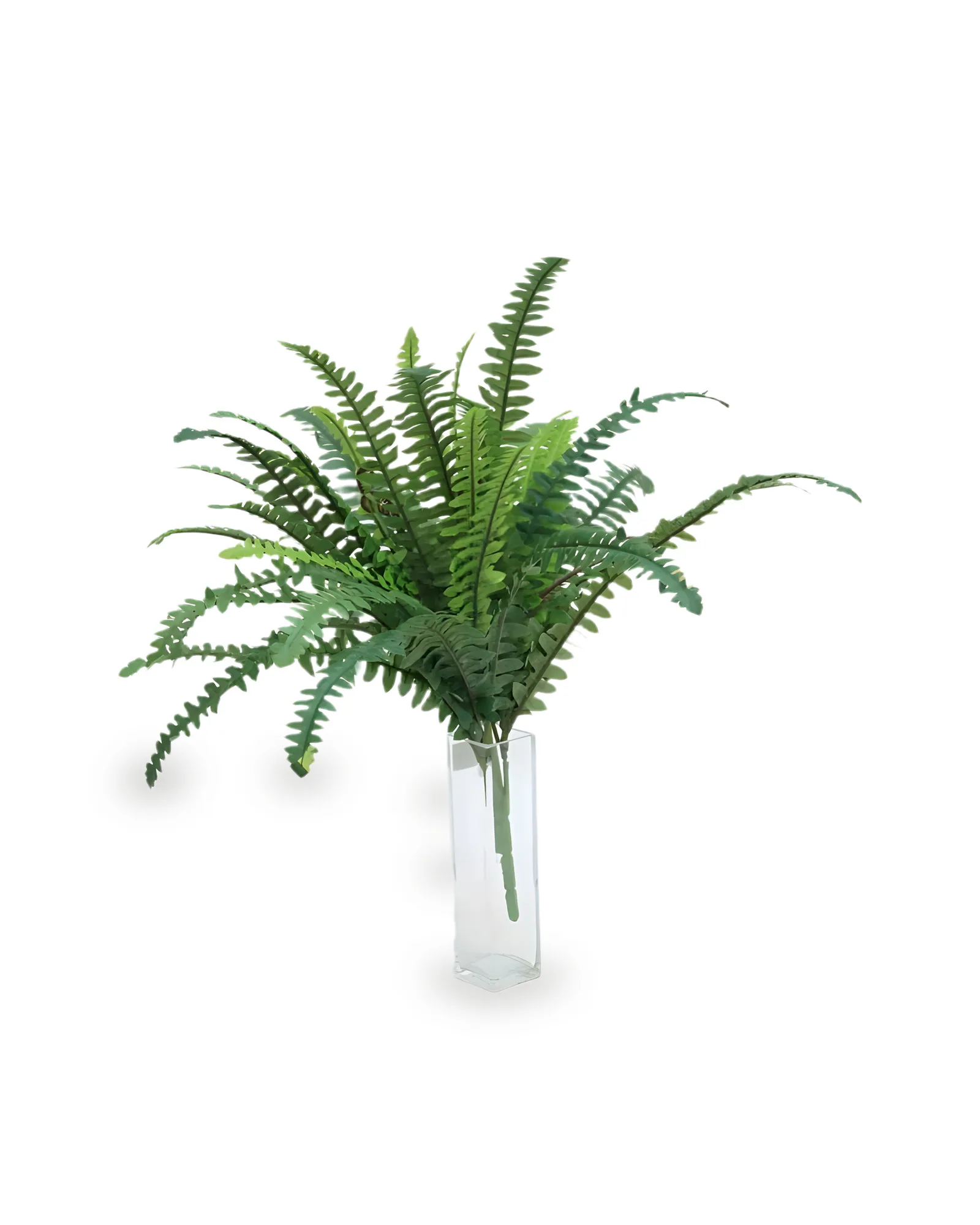 Samambaia Artificial (56cm)
