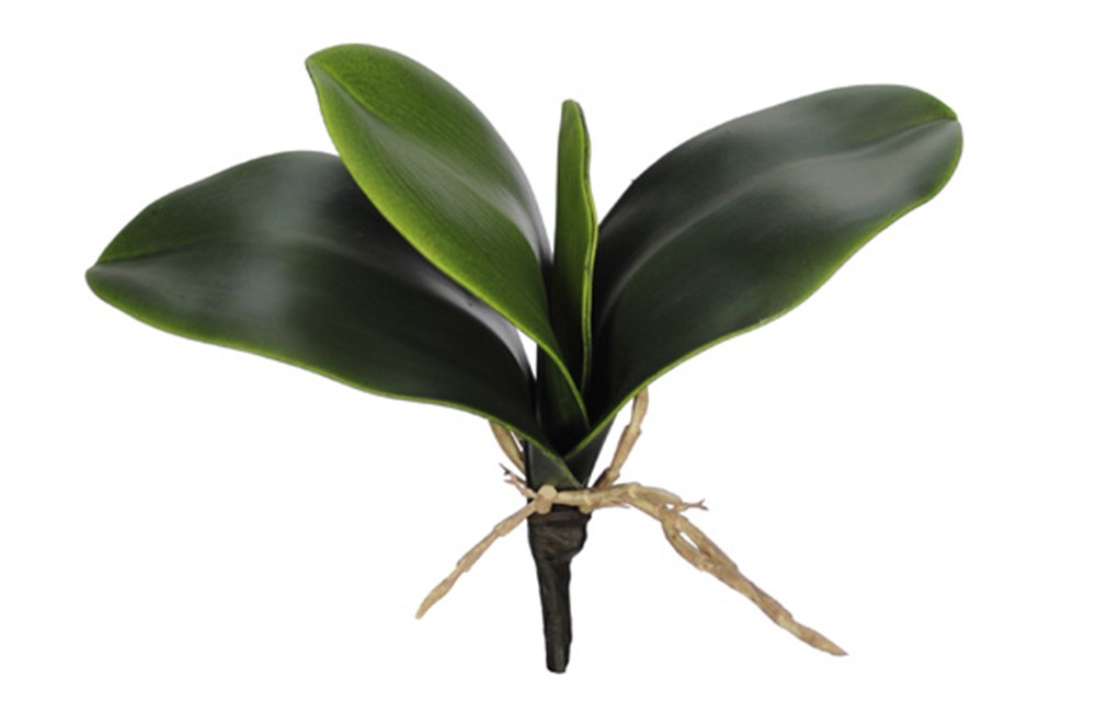 Folha de orquídea artificial (20cm) :: Net Shop Garden