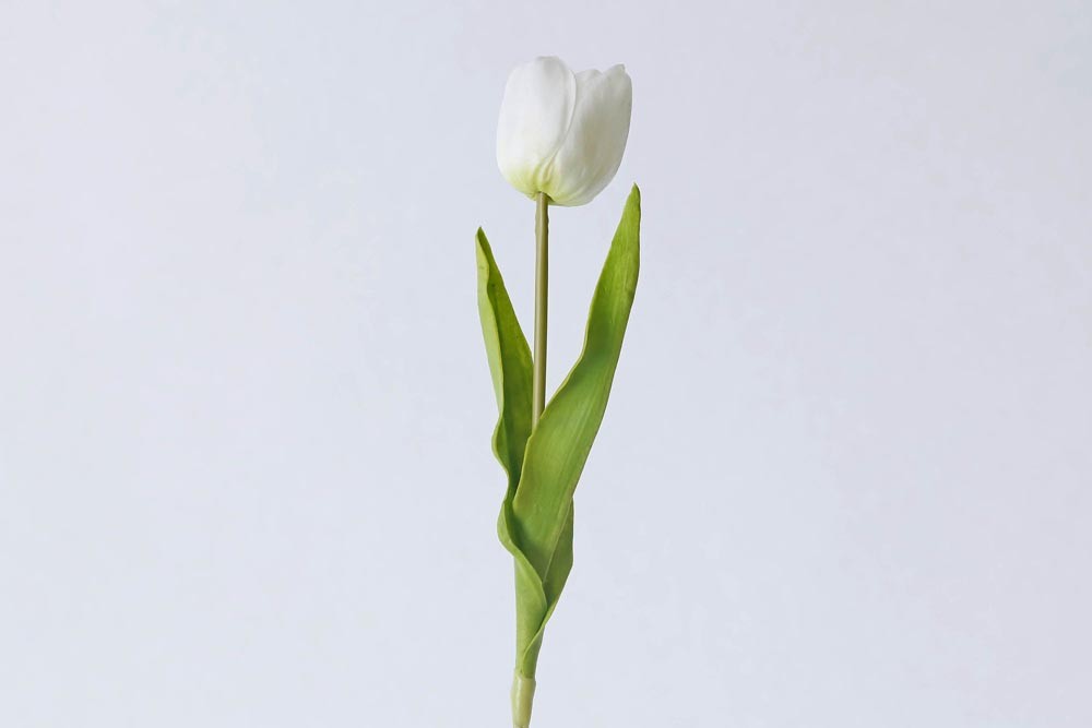 haste tulipa branca artificial (50cm)