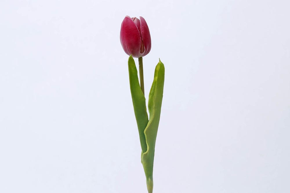 haste tulipa rosa escuro artificial (50cm)