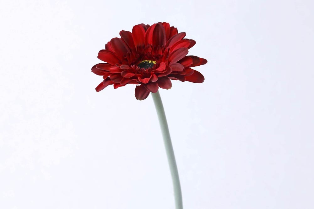 haste gerbera artificial vermelha ( 60cm)