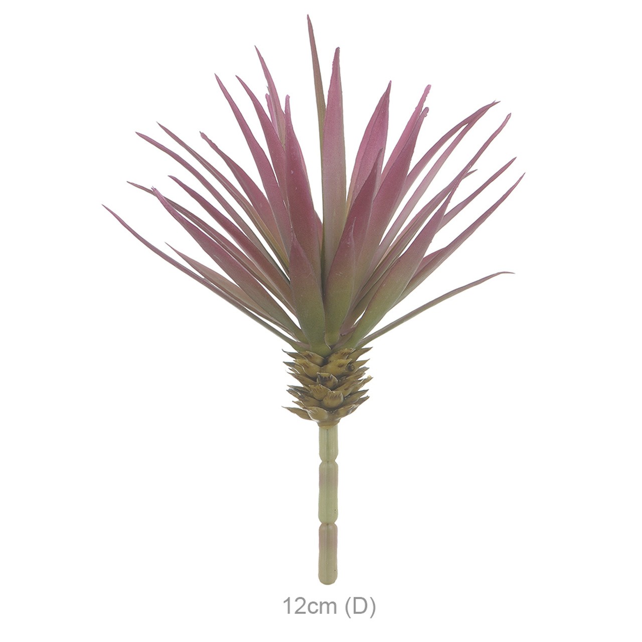 AGAVE SUCULENTA C/PRINT PURPURA
