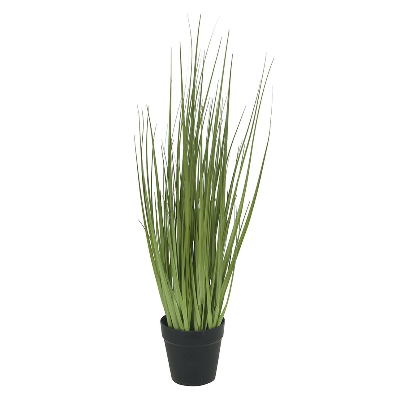 F GRASS C/VS VD 68CM