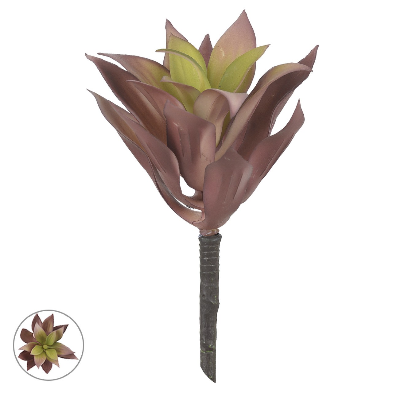 AGAVE VM 19CM F ART