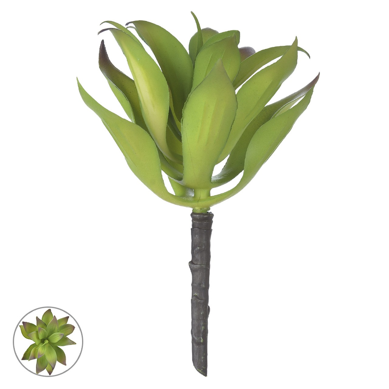 AGAVE VD 19CM F ART