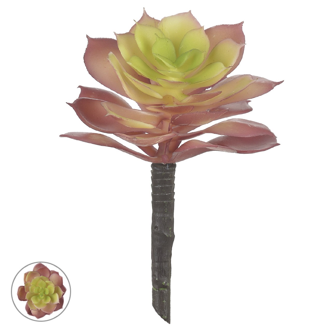 SUCULENTA VM/VD 16CM F ART