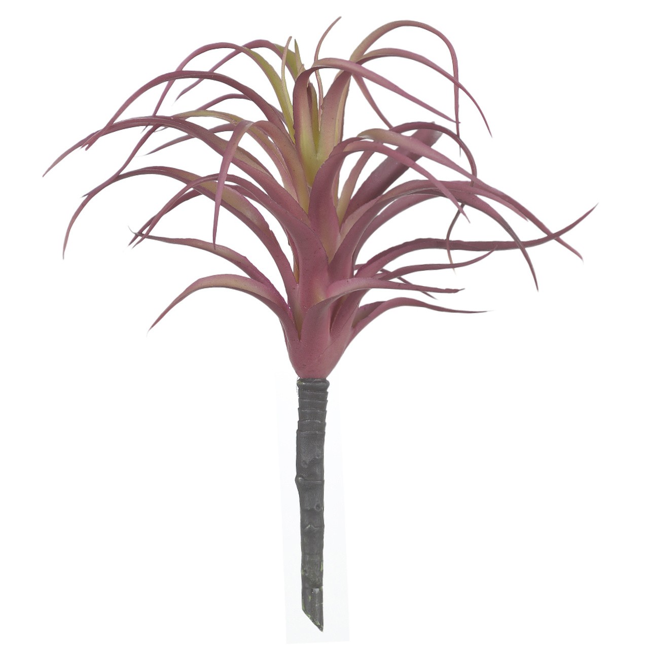 SUCULENTA AGAVE VM/VD 20CM F ART