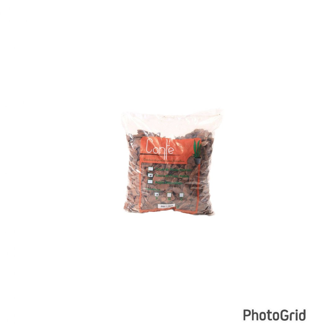Casca de Pinus Polida (1.350gr)