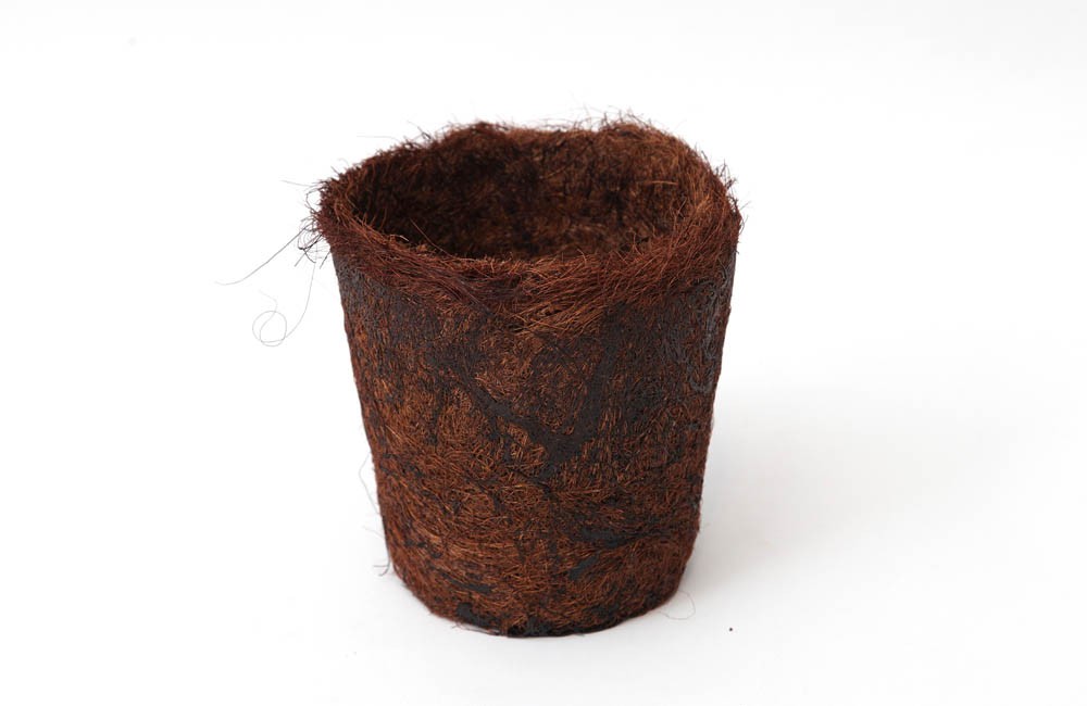 Cachepot Fibra de Coco Cone M (1,9L)