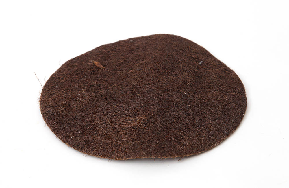 Coquim (30cm)