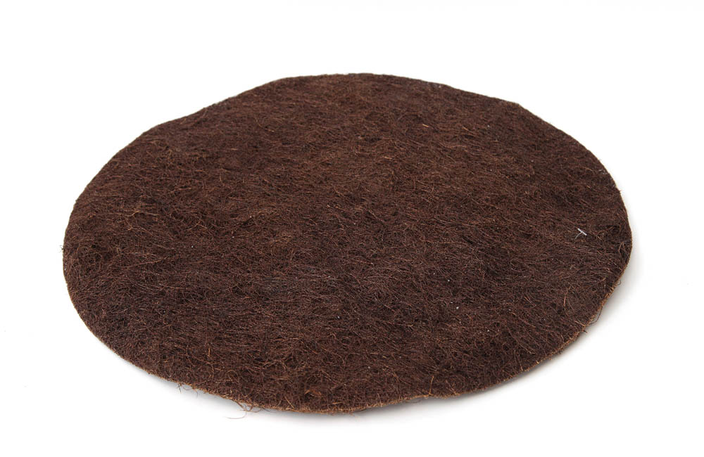 Coquim (50cm)