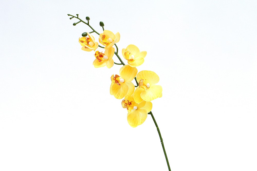 Haste orquídea artificial Amarela(70cm)