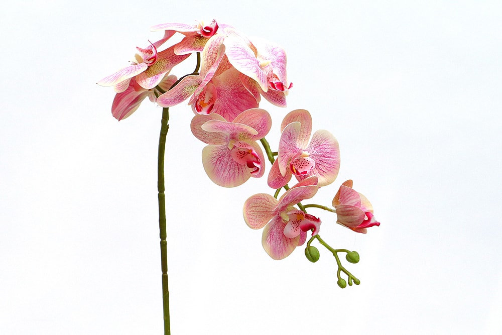 Haste orquídea artificial 3 tons rosa (97cm)