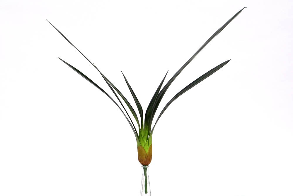 Folha Orquídea (80cm)