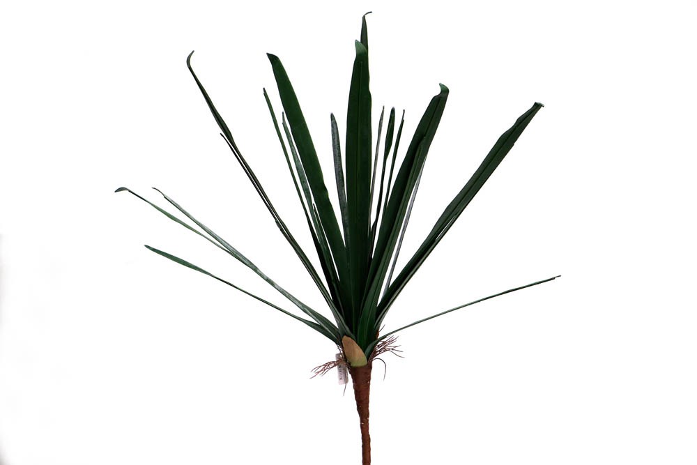 Folha Orquídea (58cm)