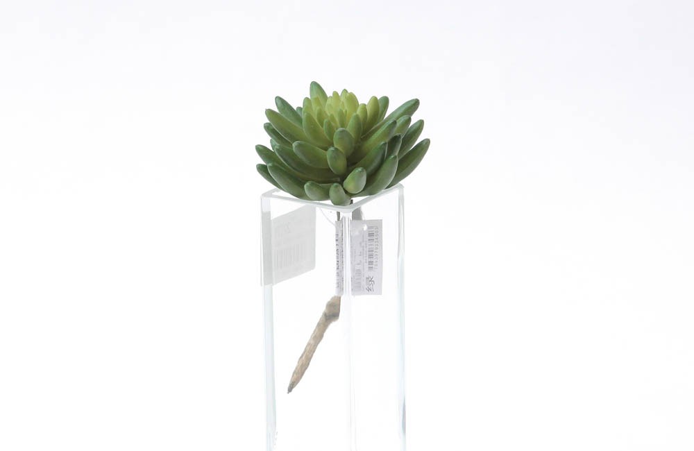Suculenta Artificial (17cm)