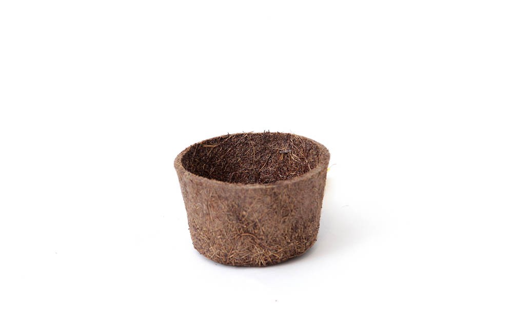 Vaso Fibra de Coco (10x06)