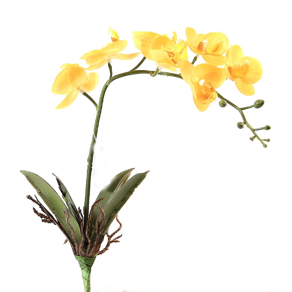 Haste Orquídea Phalaenopsis Artificial Amarela com Folha (45cm) :: Net Shop  Garden
