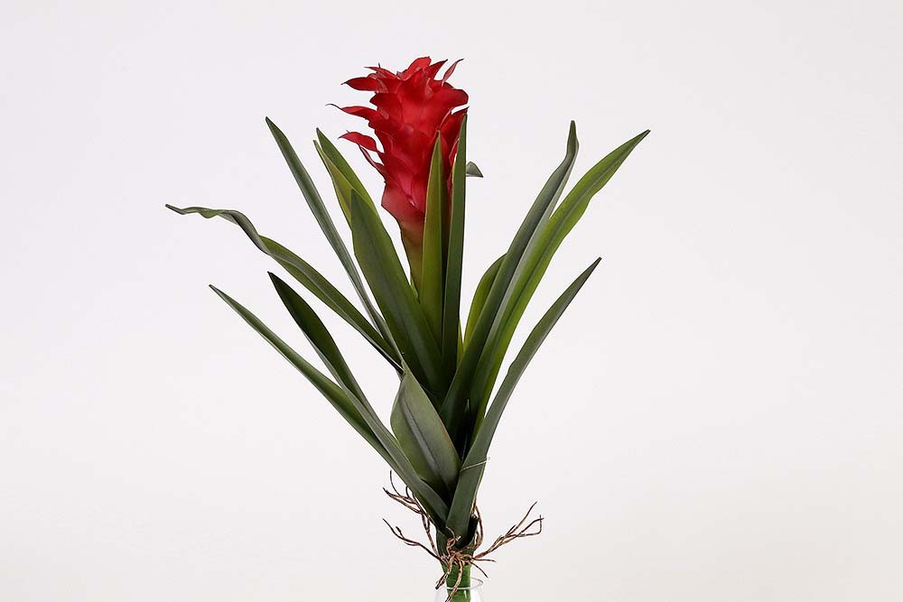 bromelia artificial vermelha (55cm)