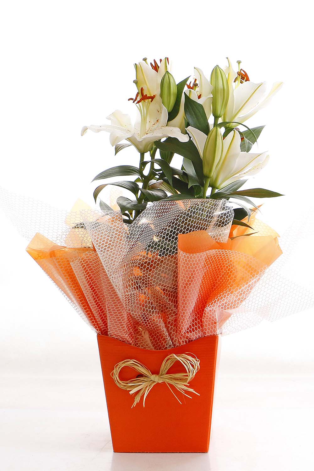 Arranjo Natural Lirio Paris 29
