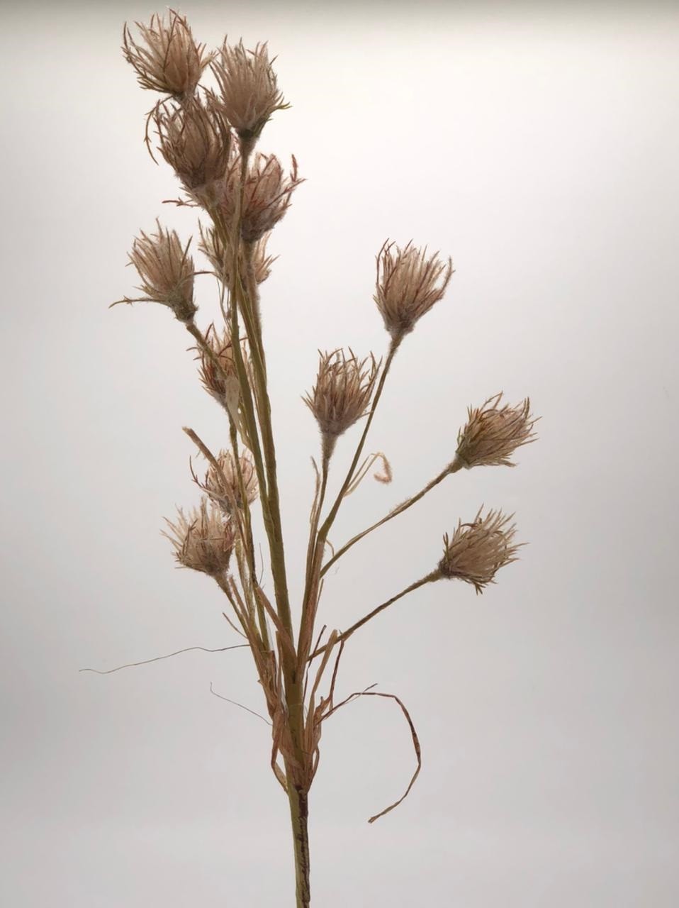 FLOR TROPICAL BEGE 70 CM